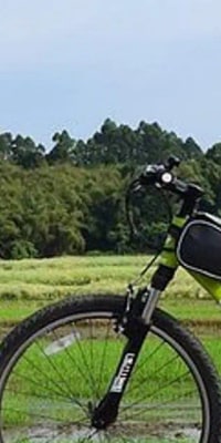 Private Chengdu Half Day Bike Tour